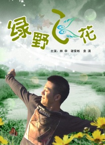 一区二区免费在线观看